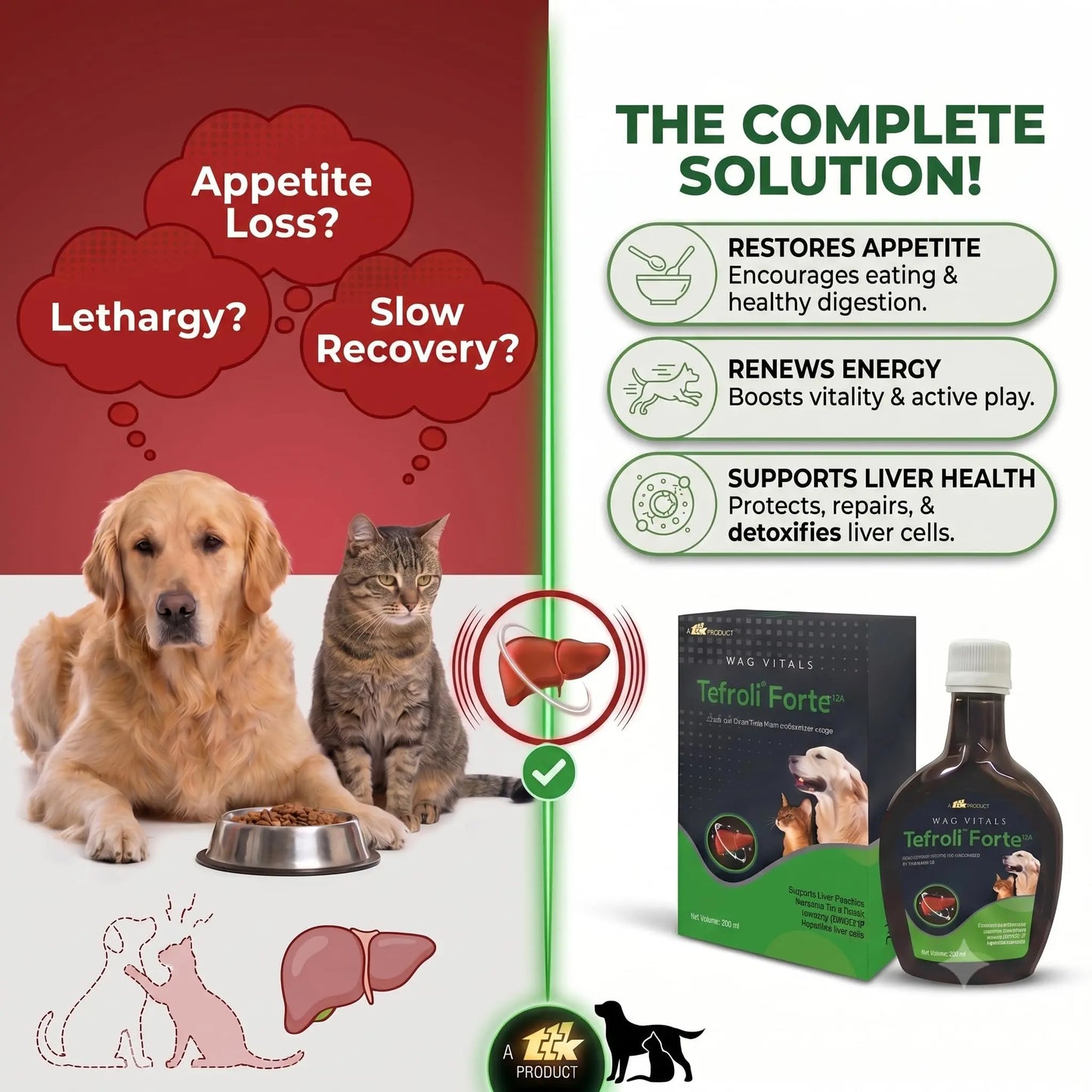 TEFROLI Forte PET Herbal Liver Support Syrup for Dogs & Cats | with Silymarin & Multi-Herbal Hepatoprotective Blend | Supports Liver Function, Appetite, Digestion & Vitality | 200 ml (Pack of 1) TEFROLI