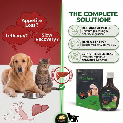 TEFROLI Forte PET Herbal Liver Support Syrup for Dogs & Cats | with Silymarin & Multi-Herbal Hepatoprotective Blend | Supports Liver Function, Appetite, Digestion & Vitality | 200 ml (Pack of 1) TEFROLI