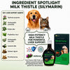 TEFROLI Forte PET Herbal Liver Support Syrup for Dogs & Cats | with Silymarin & Multi-Herbal Hepatoprotective Blend | Supports Liver Function, Appetite, Digestion & Vitality | 200 ml (Pack of 1) TEFROLI
