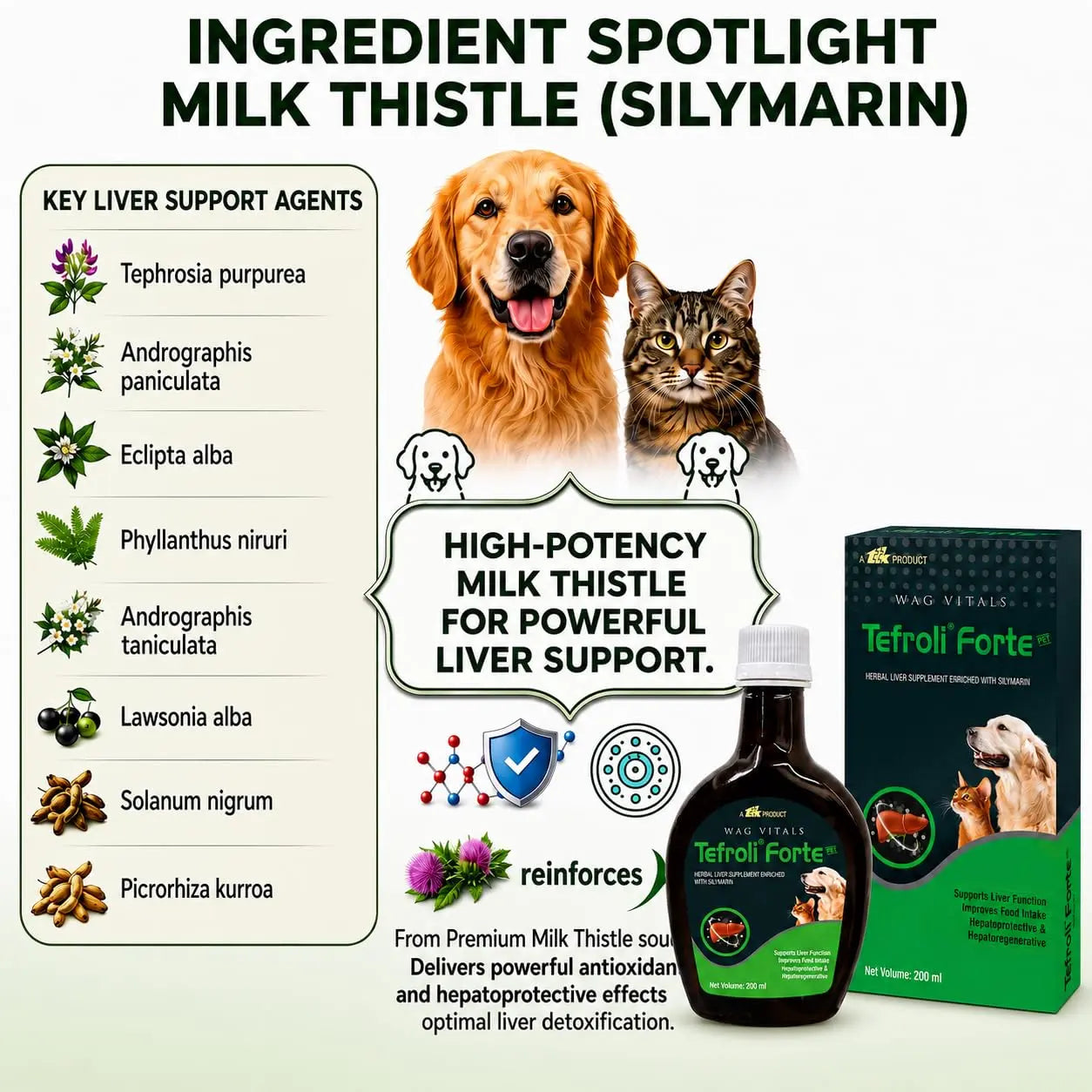 TEFROLI Forte PET Herbal Liver Support Syrup for Dogs & Cats | with Silymarin & Multi-Herbal Hepatoprotective Blend | Supports Liver Function, Appetite, Digestion & Vitality | 200 ml (Pack of 1) TEFROLI