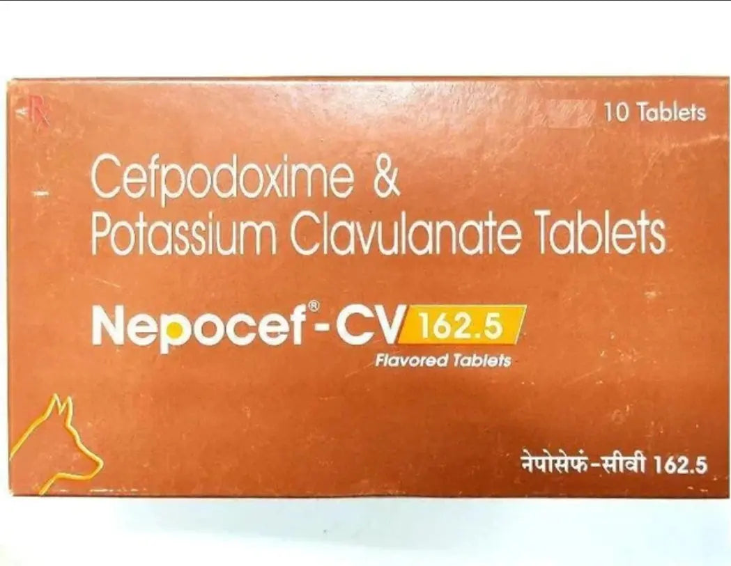 TTK Nepocef - CV 162.5 Flavored Tablets Amanpetshop