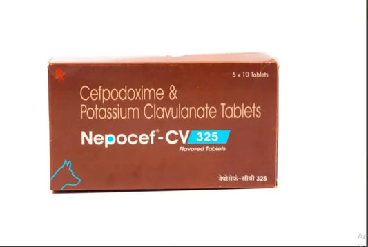 TTK Nepocef - CV 325 Flavored Tablets Amanpetshop