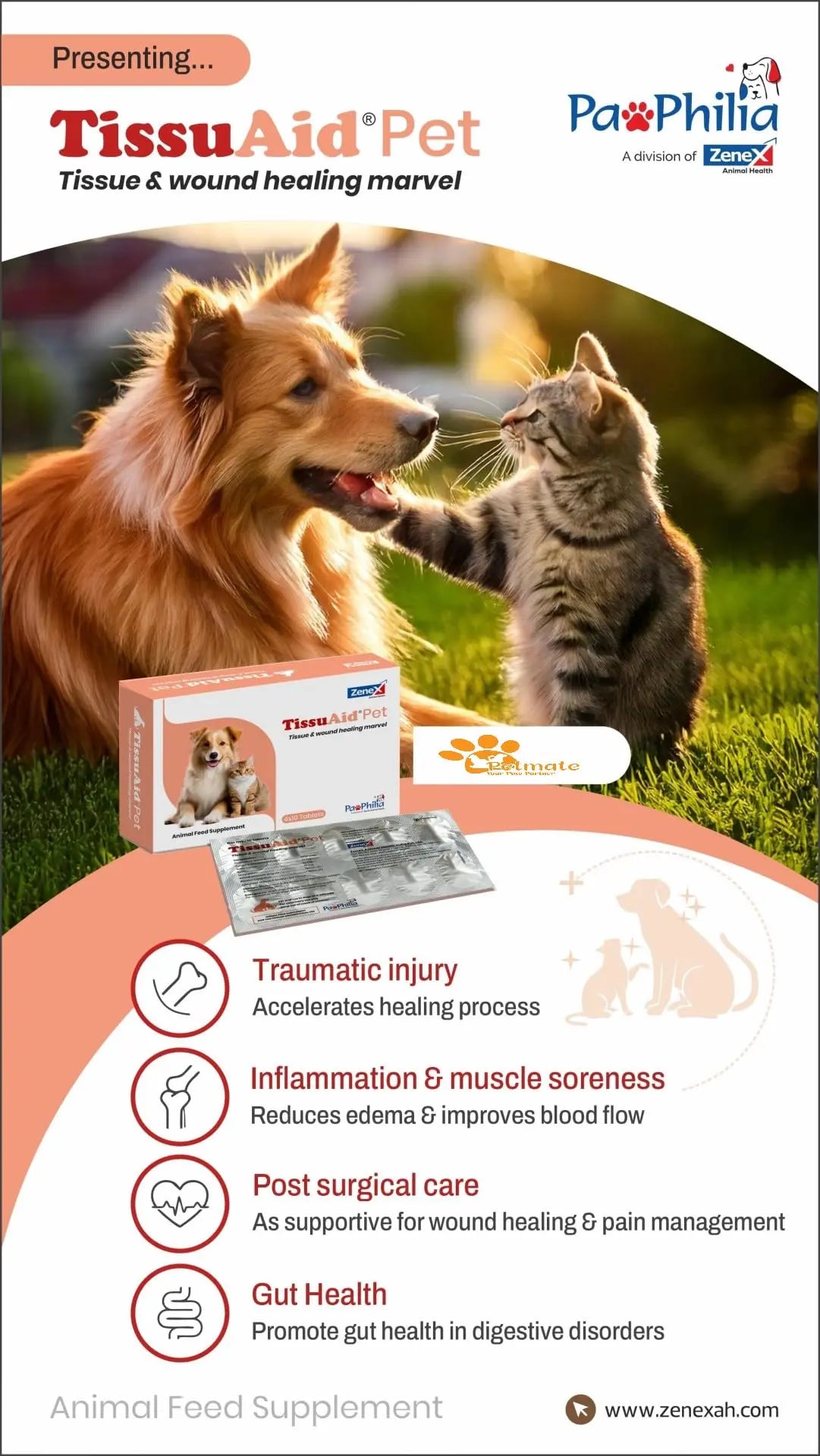 Tissu Aid Pet Supplement for Dogs & Cats | Fast Wound Healing, Tissue Repair & Recovery Support | Enzyme + Probiotic + Herbal Formula with Amla & Magnesium | Pack of 20 Tablets (10 Tab x 2 Strips). Generic