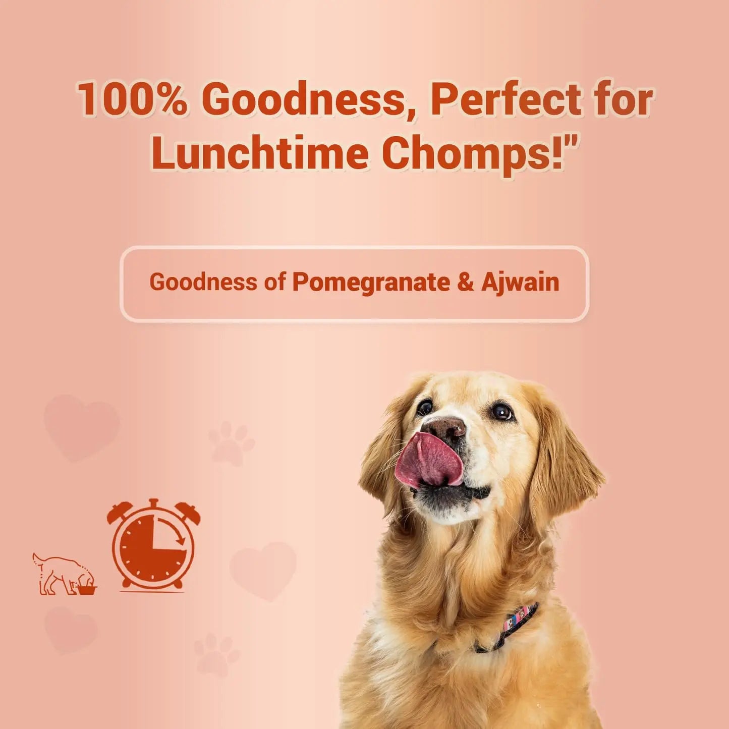 Treat O'CLOCK - Chicken & Egg Treats - Lunch Time Snack - for Dogs, Cats & Pups of All Breeds - Pack of 4 @75 g PETMATE YOUR PAW PARTNER