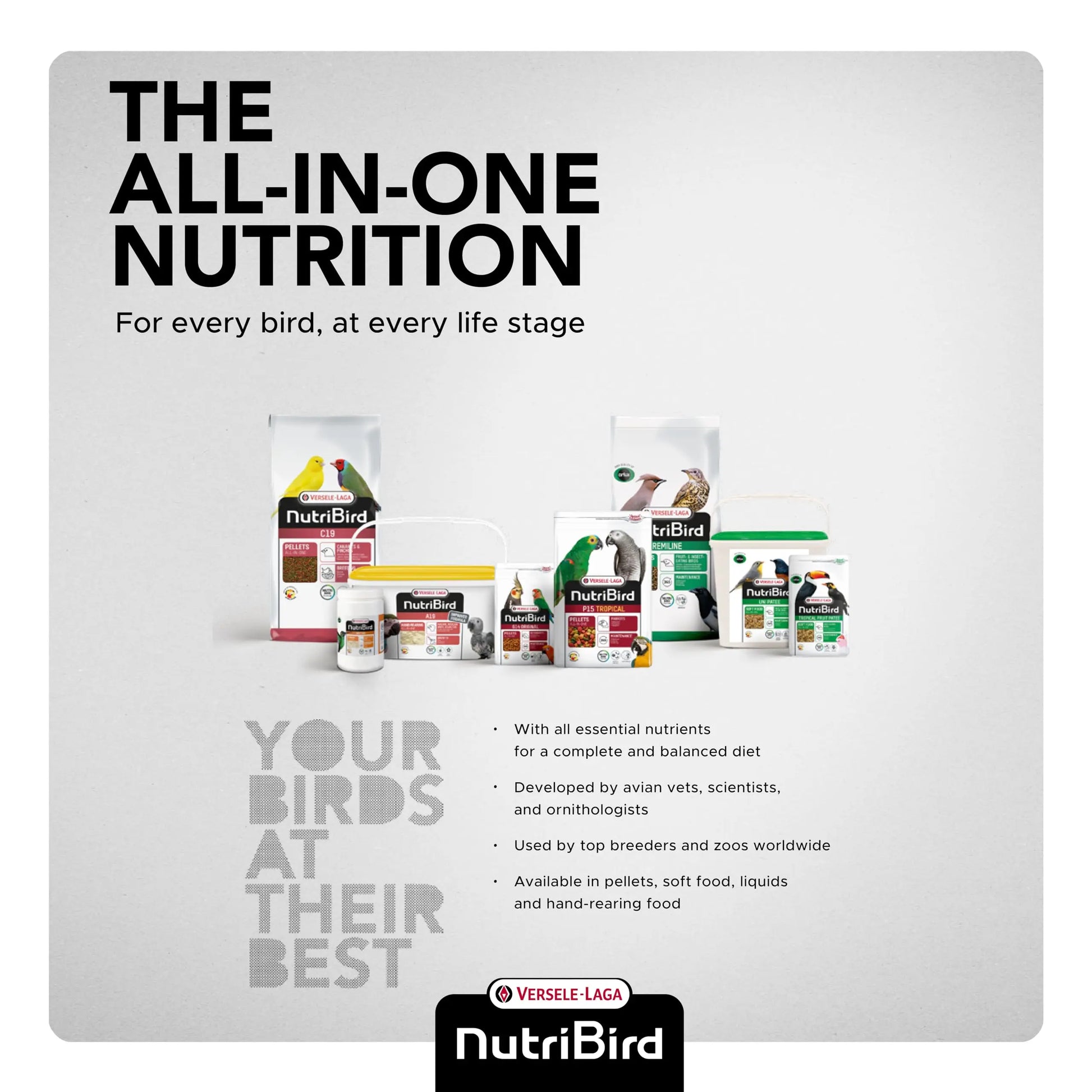 Versele-Laga Nutribird A21 Hand Rearing Food For Amazons, Cockatoos, Large Parakeets And Other Baby Birds 250Gm, Powder Versele-Laga