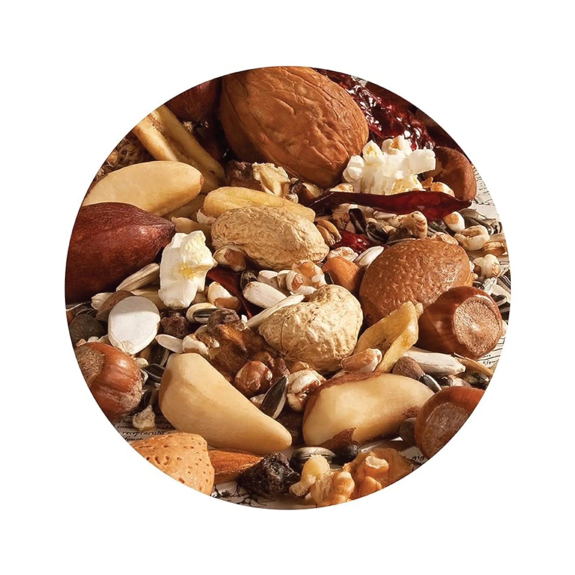 Versele Laga Premium Exotic Nut, Seeds, Grain Mix Treat for Parrots 750gm Versele-Laga