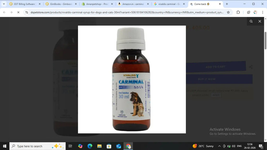 Vivaldis Carminal Syrup for Dogs and Cats (30ml) Amanpetshop-