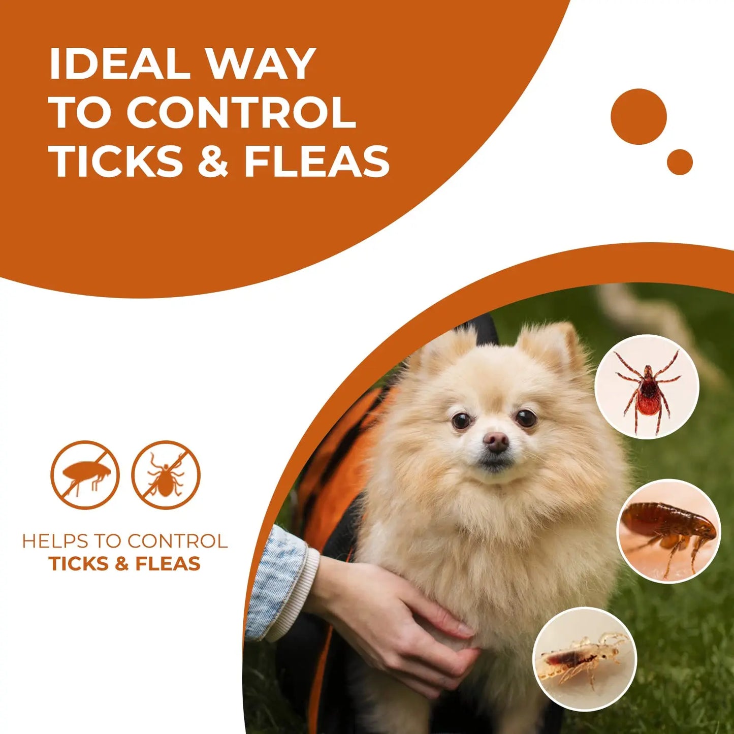 Vivaldis Single Pipette Treatment Of Fleas, Ticks And Chewing Lice Infestation For Dogs Upt 0 - 10Kg VIVALDIS