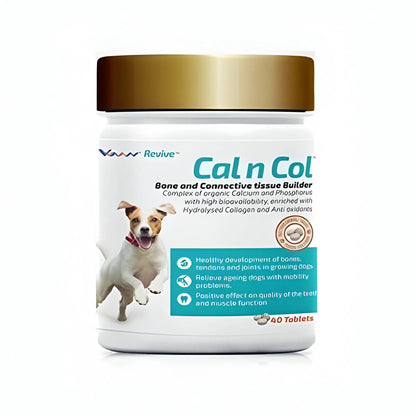 Vvaan Supplements for Dogs - Cal and Col - Calcium and Collagen Tablets (40 tabs)(Pack of 1) VVAAN