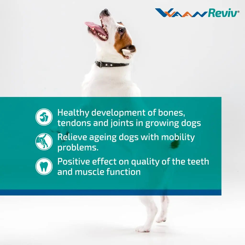 Vvaan Supplements for Dogs - Cal and Col - Calcium and Collagen Tablets (40 tabs)(Pack of 1) VVAAN