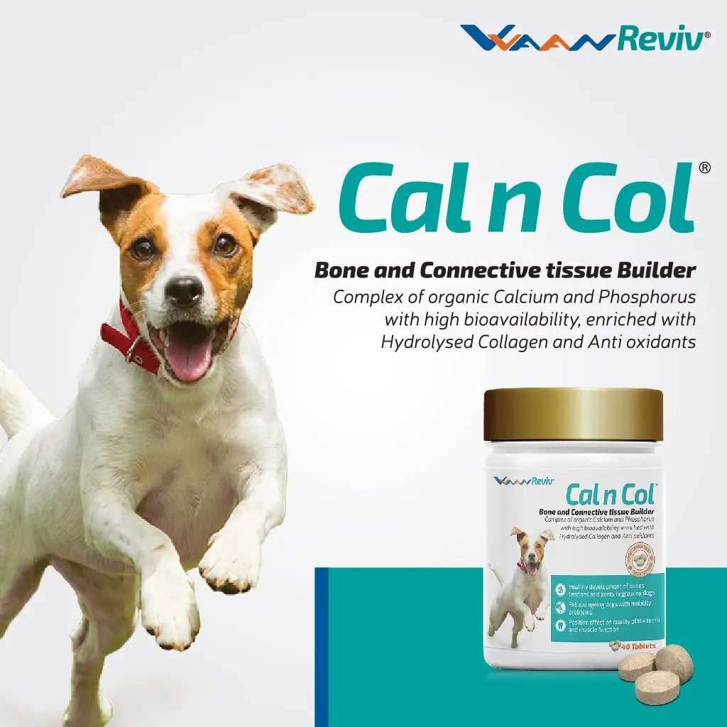 Vvaan Supplements for Dogs - Cal and Col - Calcium and Collagen Tablets (40 tabs)(Pack of 1) VVAAN