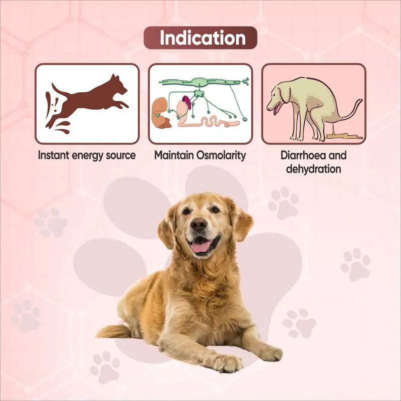 WELLCON ANIMAL HEALTH | Canitral Powder | Electrolyte Supplement for ...