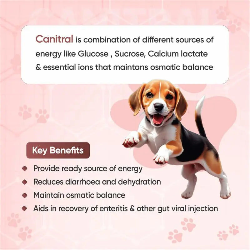 WELLCON ANIMAL HEALTH | Canitral Powder | Electrolyte Supplement for Dogs & Cats | Ideal Source of Energy | Supports Hydration & Recovery | 200 G WELLCON ANIMAL HEALTH