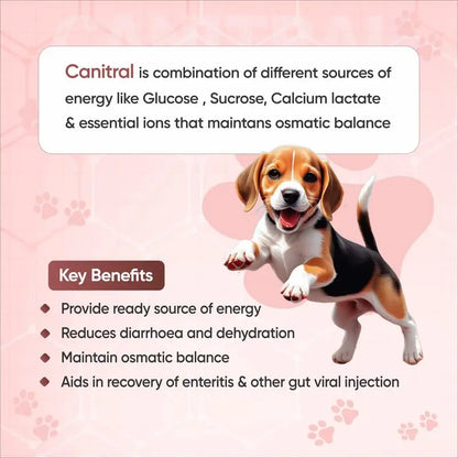 WELLCON ANIMAL HEALTH | Canitral Powder | Electrolyte Supplement for Dogs & Cats | Ideal Source of Energy | Supports Hydration & Recovery | 200 G WELLCON ANIMAL HEALTH