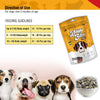 Waggy Bites DuoBites Chicken & Cheese Soft Treats for Dogs & Puppies | Grain & Gluten-Free | Inulin for Healthy Digestion | DHA Enriched for Brain Development | 100 g | Pack of 1 Waggy Bites