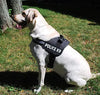 Adidog  K9 Police Harness Dog Vest (XL- 28-38 Inch Girth, Black) Amanpetshop