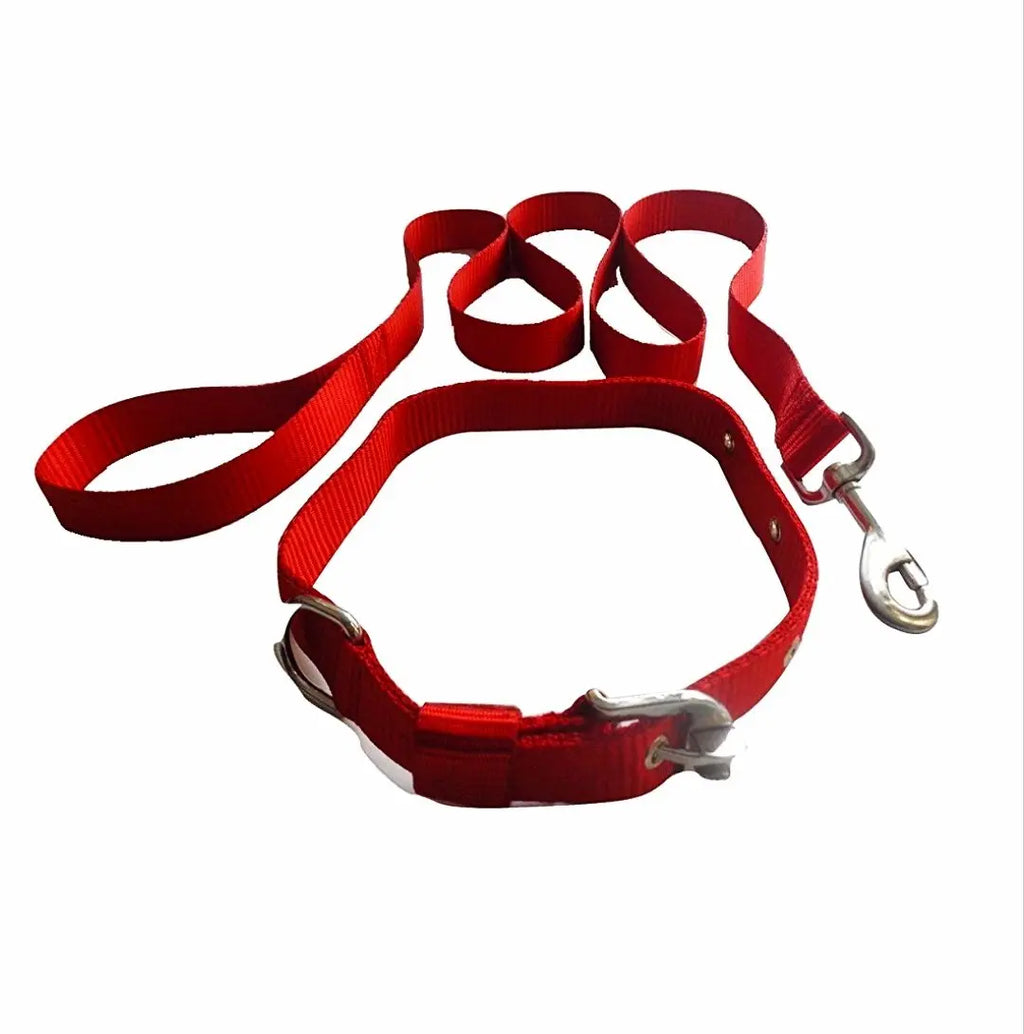Adidog Dog Collar Set Amanpetshop-
