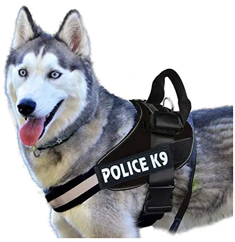 Adidog K9 Police Dog Vest (Large -28-34 Inch Girth, colour may vary) Amanpetshop