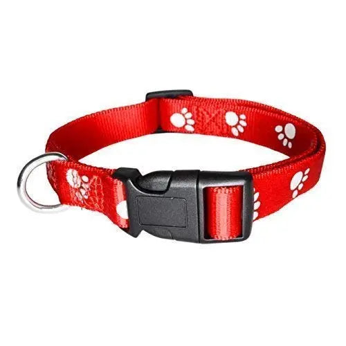 Adidog Nylon Paw Print 15MM Collar Set for Puppies and Cats,(Multicolored) PSK PET MART