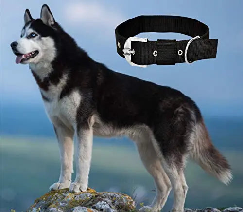 Adios Black Nylon 1.5 inch Dog Collar Belt Specially for Big Dogs Neck Size 48cm to 64cm Lengthy Dog Collar ADIOS