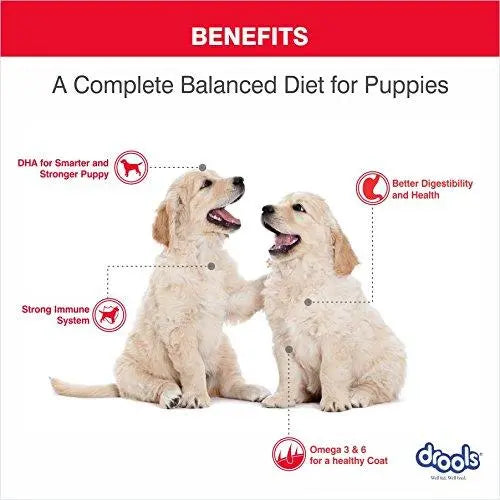 Drools 100% Vegetarian Puppy Dog Food, 3kg Amanpetshop