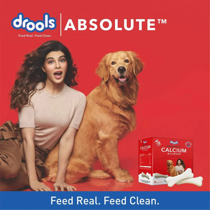 Drools Absolute Calcium Milk Bone, Dog Supplement for Small Breed Dogs, 30 Pieces, 380 g Amanpetshop