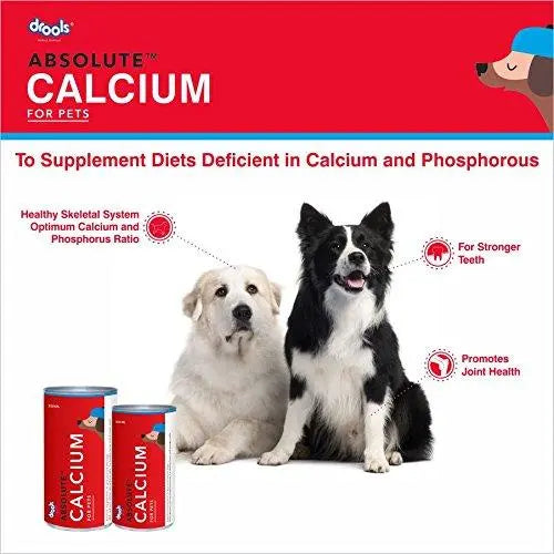 Drools Absolute Calcium Syrup- Dog Supplement, 300ml Drools