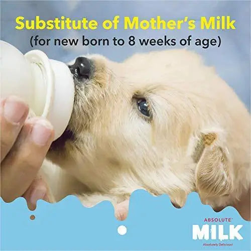 Drools Absolute Milk for Newborn Puppies, 500 Gram Amanpetshop