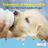 Drools Absolute Milk for Newborn Puppies, 500 Gram Amanpetshop