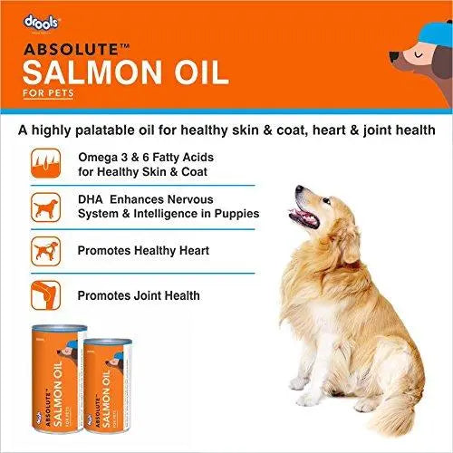 Drools Absolute Salmon Oil Syrup- Dog Supplement, 300ml Drools
