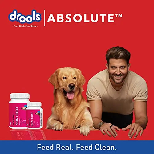 Drools Absolute Skin Coat Tablet- Dog Supplement, 110 Pcs/400gm Drools
