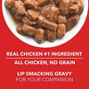 Drools Adult Wet Dog Food, Real Chicken and Chicken Liver Chunks in Gravy, 24 Pouches (24 x 150g) Drools