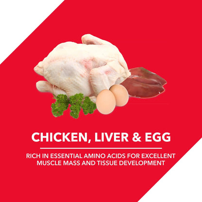 Drools Chicken and Egg Adult Dog Food, 3 kg free calcium bone Amanpetshop
