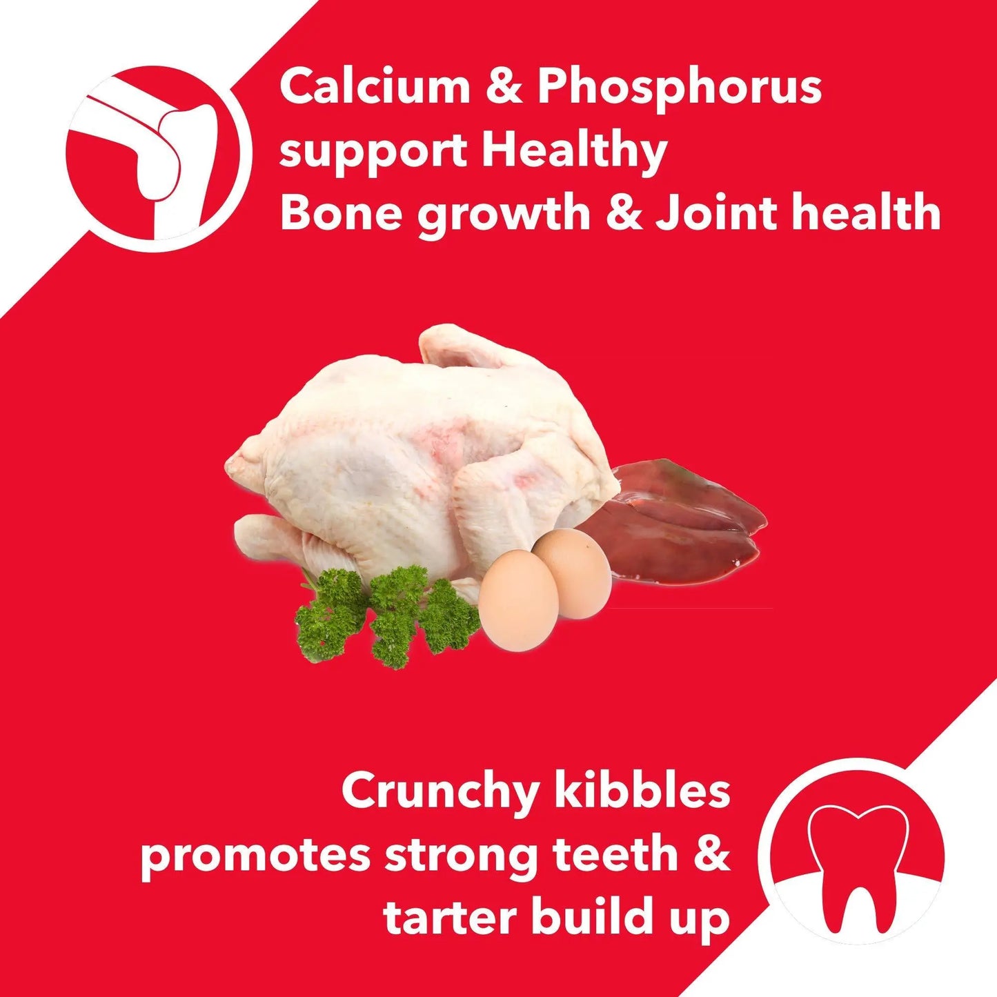 Drools Chicken and Egg Adult Dog Food, 3 kg free calcium bone Amanpetshop