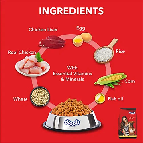 Drools Chicken and Egg Adult Dry Dog Food, 10kg (+2kg Extra Free Inside) Amanpetshop