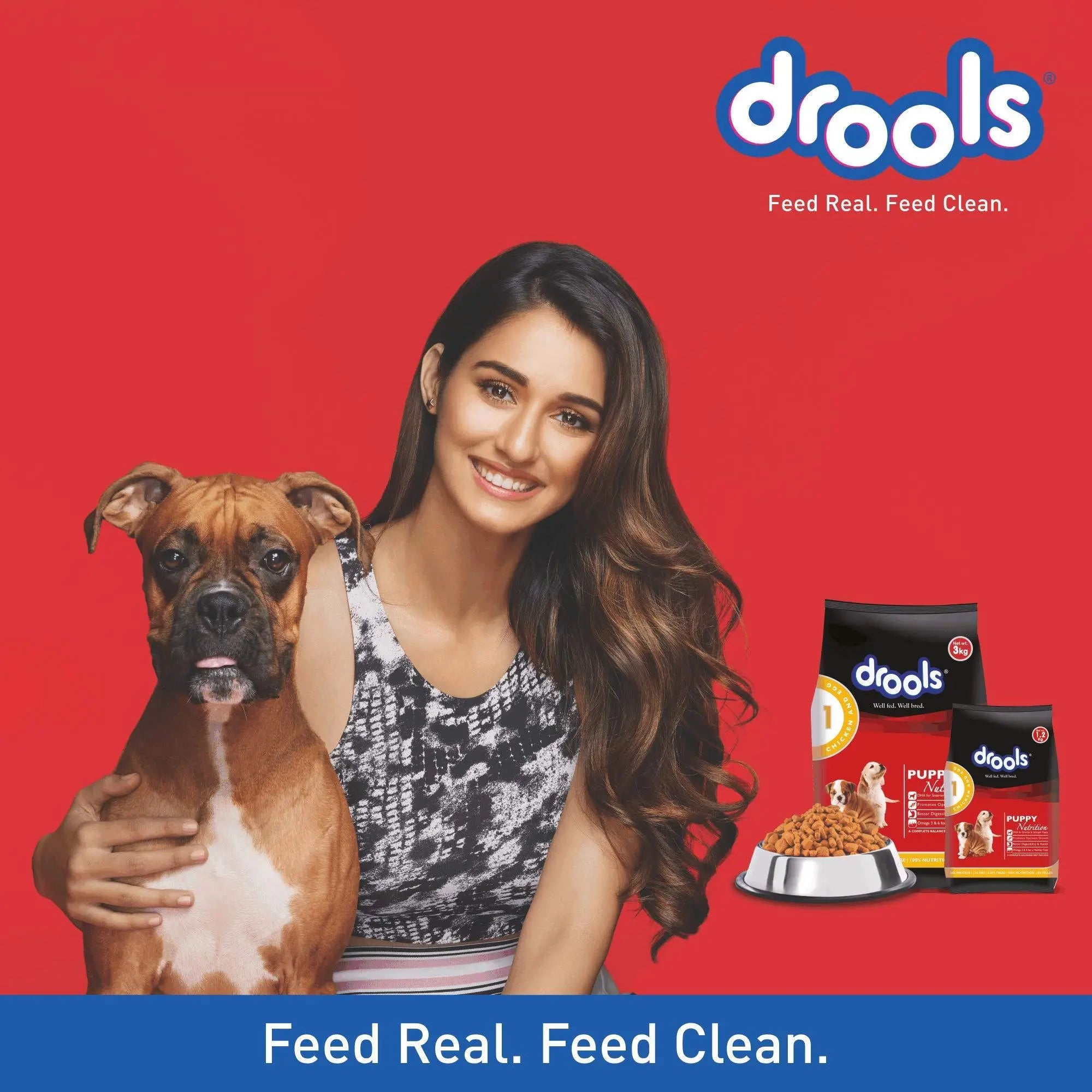 Drools Chicken and Egg Puppy Dog Food 15kg Amanpetshop