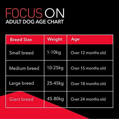 Drools Focus Adult Dog Food- 4kg Amanpetshop