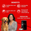 Drools Focus Adult Super Premium Dog Food, 1.2kg Amanpetshop