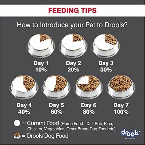 Drools Focus Puppy Super Premium Dog Food, 12kg amanpetshop