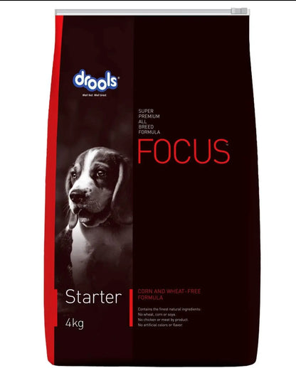 Drools Focus Starter 4 kg Amanpetshop