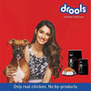 Drools Focus Starter 4 kg Amanpetshop