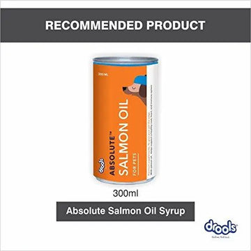 Drools Focus Starter Super Premium Dog Food