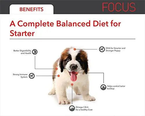 Focus starter dog food hotsell