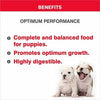 Drools Optimum Performance Puppy Dog Food, 20kg Amanpetshop