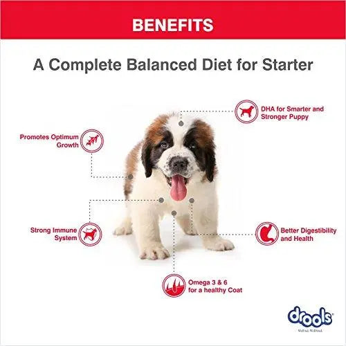 Drools Puppy Starter Dog Food, 3kg Amanpetshop