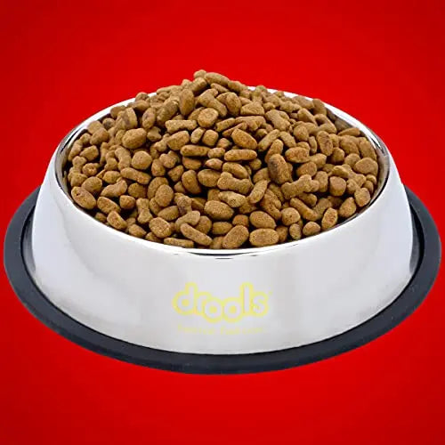 Drools Stainless Steel Dog Feeding Bowl Medium, 700ml Drools