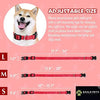 Eagle Pets Dog Collar and Leash Set, Adjustable Nylon Collar with Leash for Small Medium and Large Dogs, Quick Release and Breathable Collar for Puppies. (red, Medium) Eagle Pets