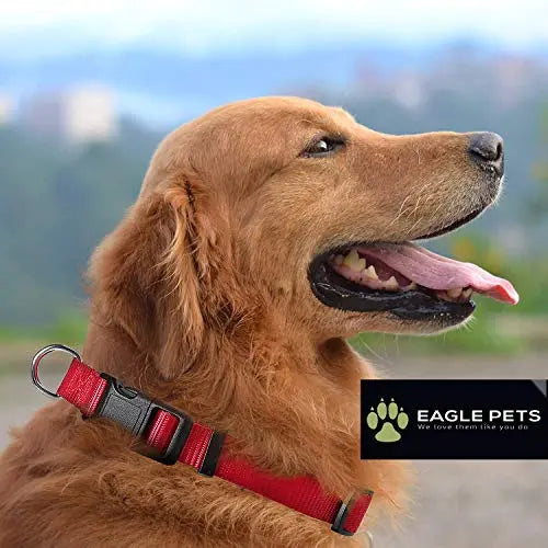 Eagle Pets Dog Collar and Leash Set, Adjustable Nylon Collar with Leash for Small Medium and Large Dogs, Quick Release and Breathable Collar for Puppies. (red, Medium) Eagle Pets
