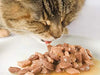 Farmina N&D Ocean Grain Free Kitten Cat Wet Food Cod, Shrimp & Pumpkin (Pack of 12) Amanpetshop