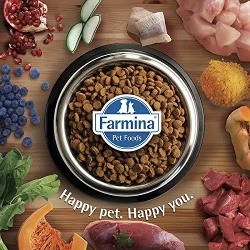 Farmina N&D Quinoa Skin and Coat Dry Dog Food, Grain-Free, Adult Breed, 800g, Duck, Coconut and Turmeric Amanpetshop